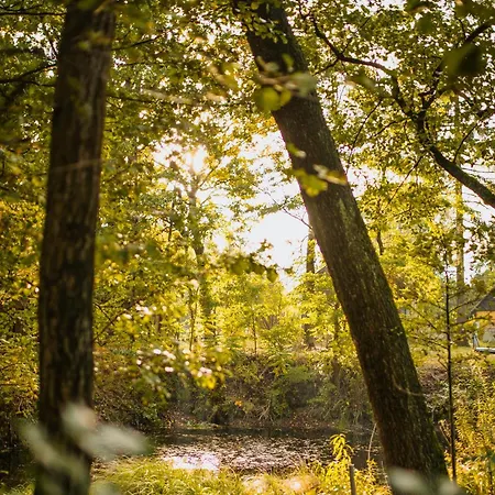Ostoja Rakowiec Dobre (Minsk)