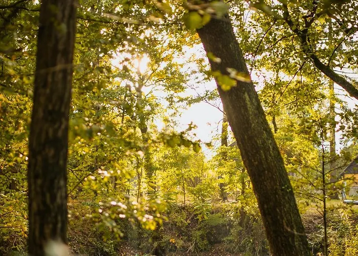 Ostoja Rakówiec Dobre (Minsk)