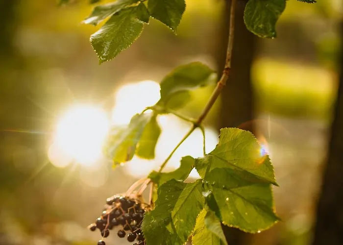 Casa de Férias Ostoja Rakówiec Dobre (Minsk)